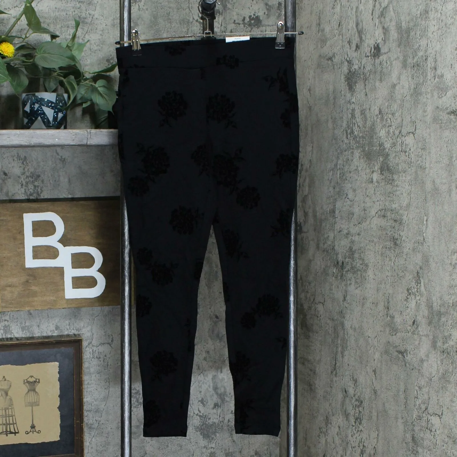 Style & Co. Petite Floral Flocked Ponte Knit Pants